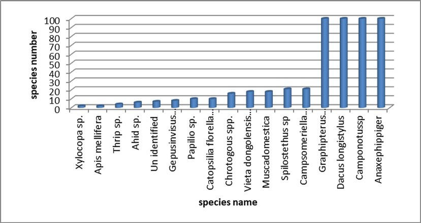 Species dynamic in the valley site