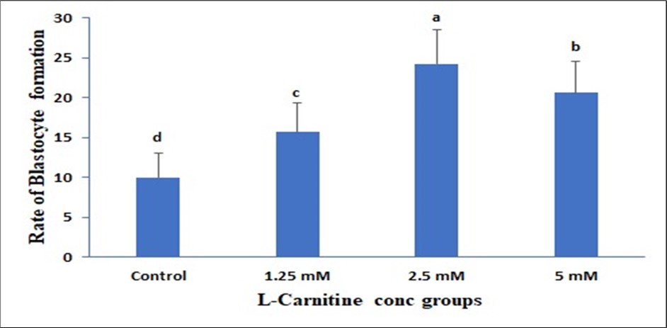 Effect of in vitro maturation media supplementation with l carnitine on the Blastocyte formation. Values with various superscript letters are significantly different (P<0.05).