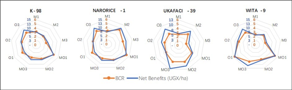 Figure 6. Comparison of the net benefits (UGX/ha) and the cost-benefit ratio of growing four irrigated lowland rice varieties with varying levels of N fertilizers from three sources: mineral (M), organic (O), and a combination of both mineral and organic (MO) fertilizers. The chart has two scales: the blue scale shows net benefits in UGX per hectare, and the amber scale displays cost-benefit ratios.